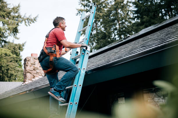 Best Chimney Flashing Repair  in Springfield, OH
